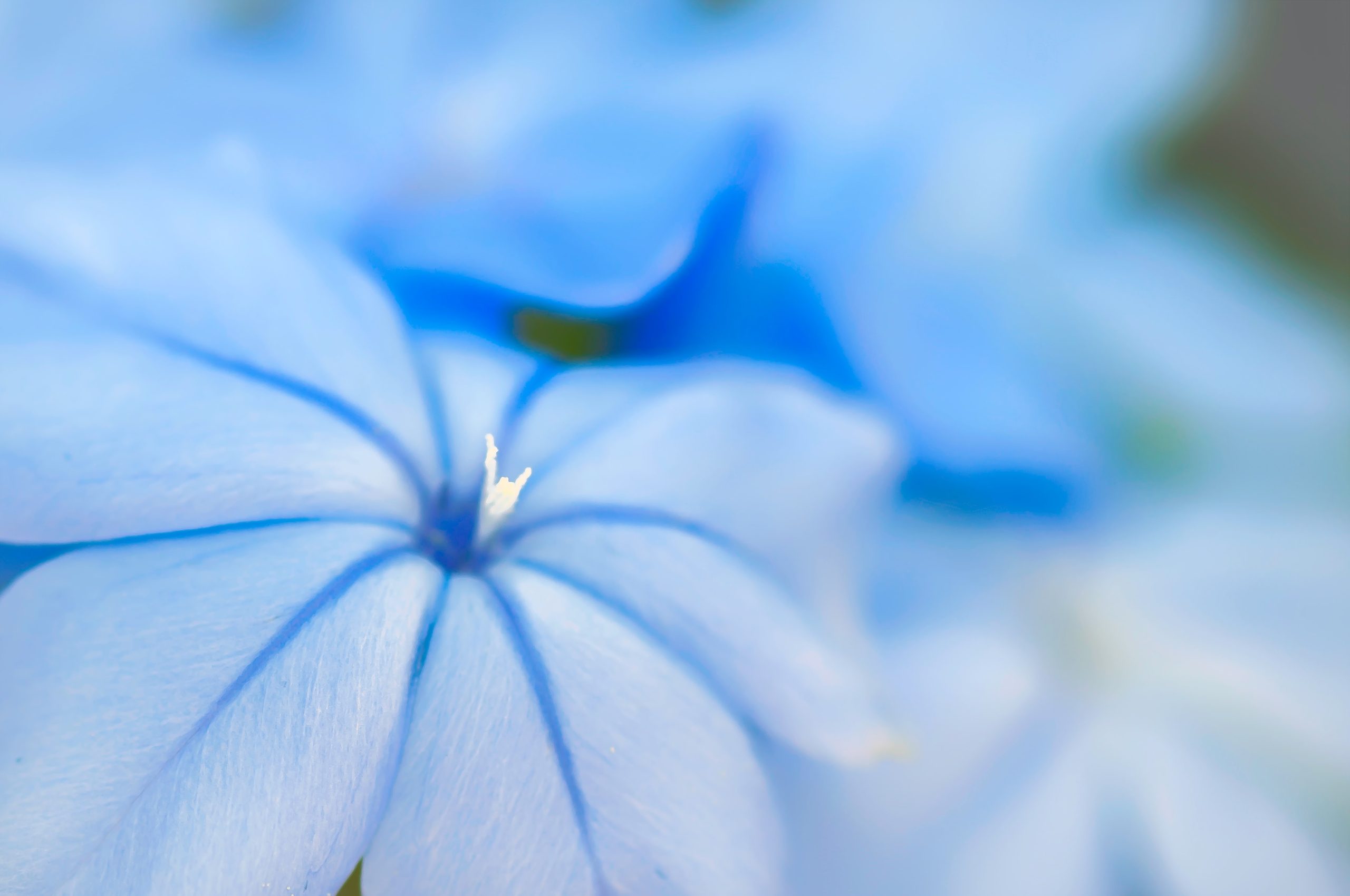 BLUE: GOD'S LOVE CREATES COMMUNICATION . EL AMOR DE DIOS NOS AYUDA A COMUNICARNOS MEJOR!