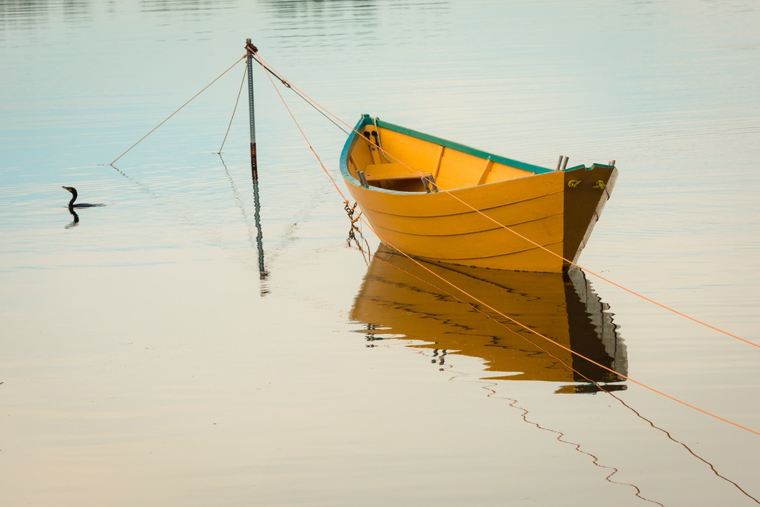 Let's treasure the Stillness of God's presence. BUSCANDO A DIOS EN LA QUIETUD DE LA NATURALEZA